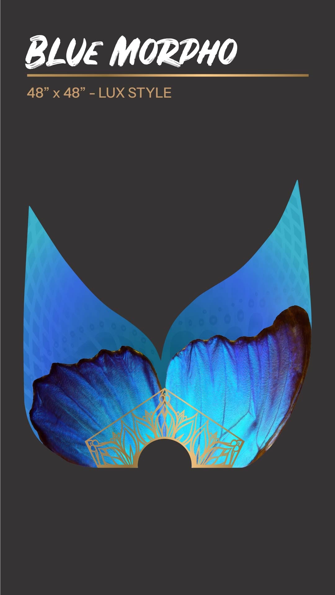 Blue Morpho 🦋 - Silk Veil Fans