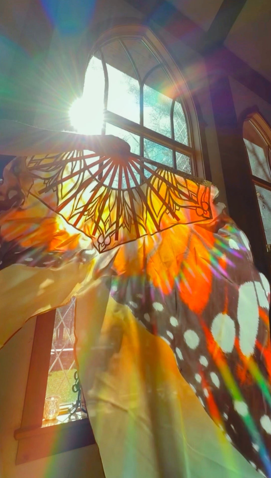 Monarch Butterfly- Silk Veil Fans