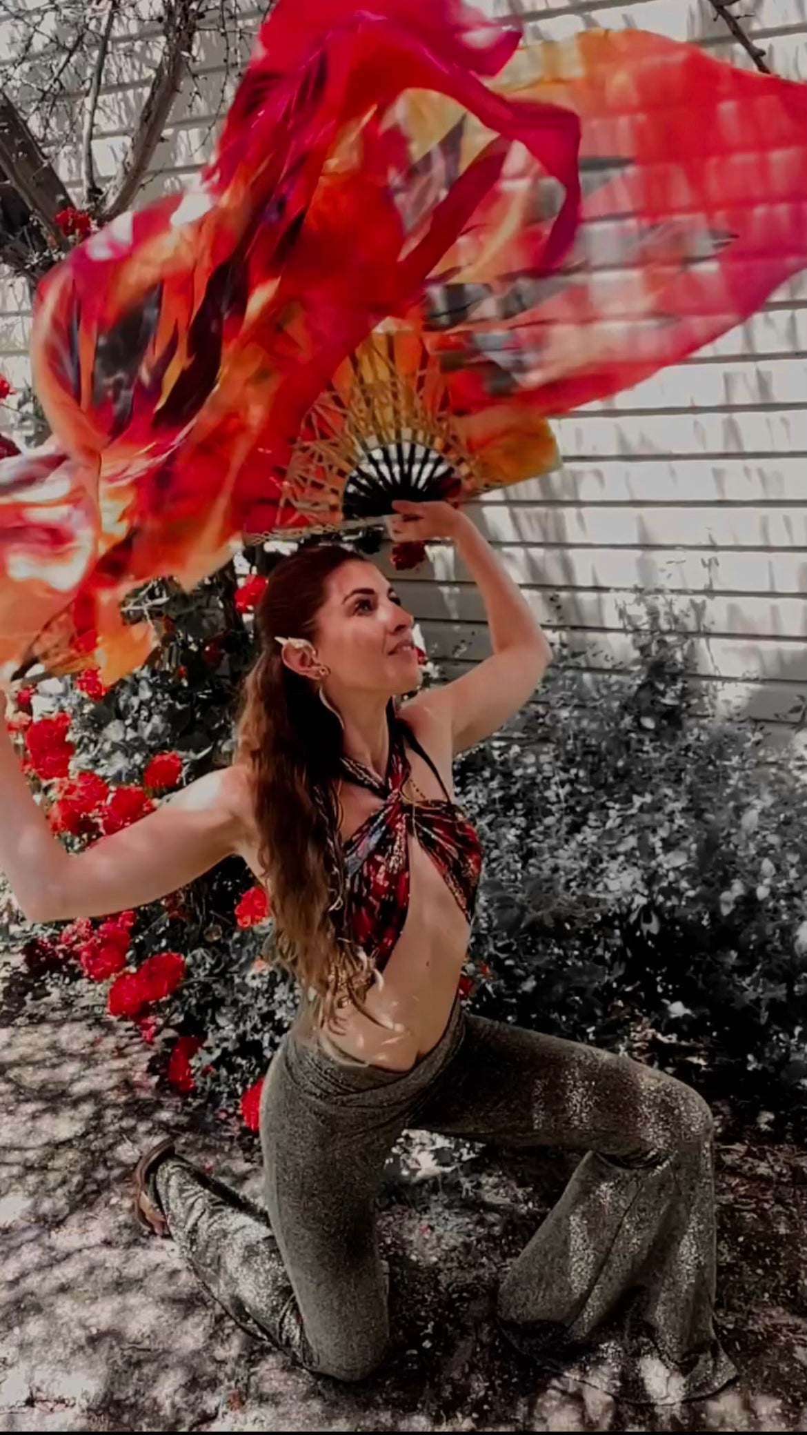 Phoenix - Silk Fan Set 36" x 48"
