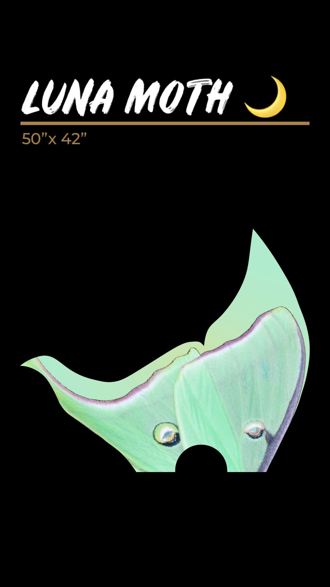 Luna Moth 🌙 -  Lux Silk Fan Set 50" x 42"